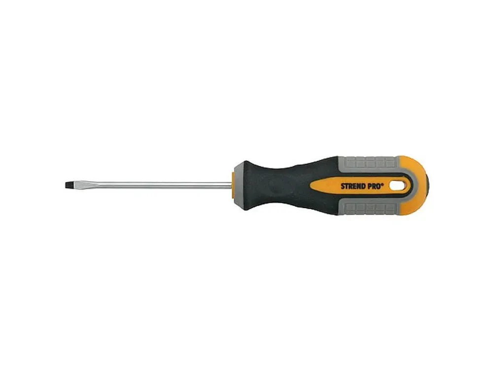 Šroubovák plochý 4x100mm Expresní Doručení