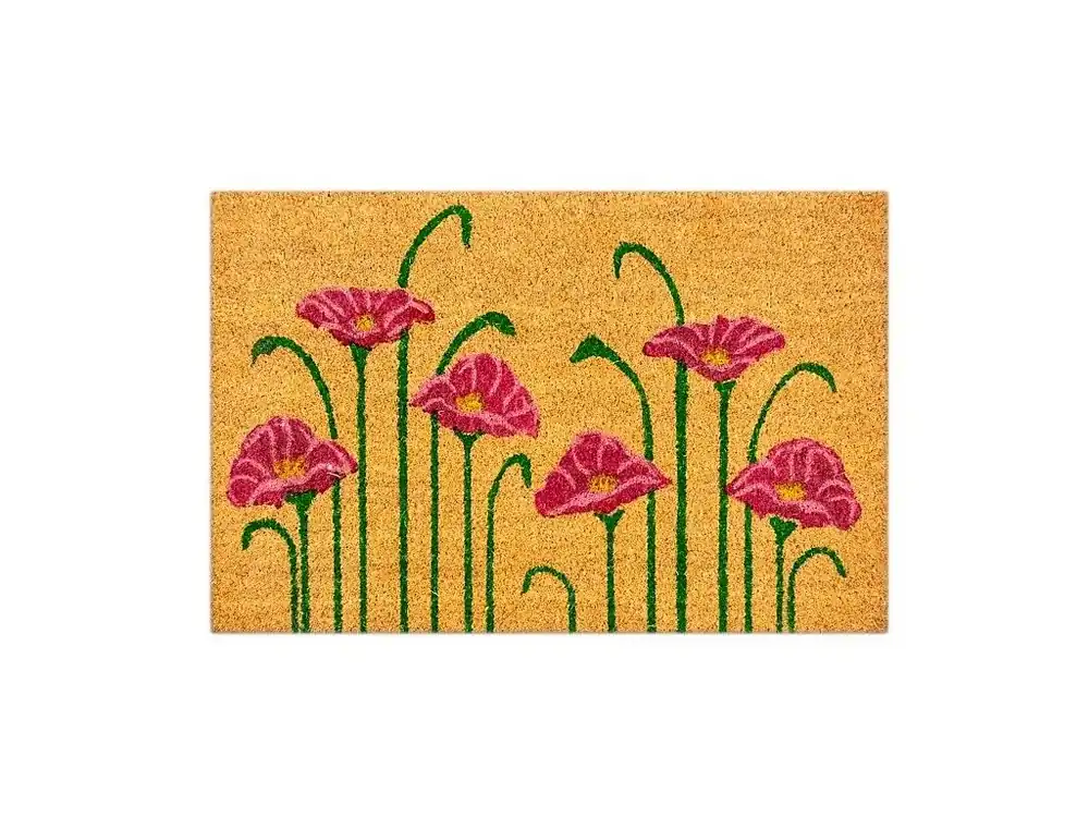 Rohožka MH-06 40x60cm Koupit Online
